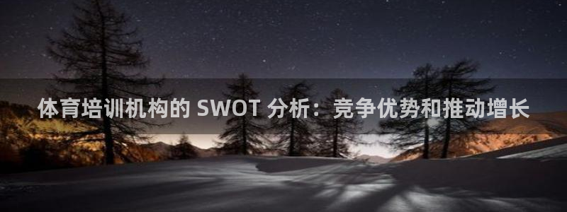 焦点娱乐传媒：体育培训机构的 SWOT 分析：竞争优