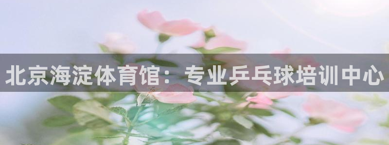 焦点娱乐拉菲11月9日：北京海淀体育馆：专业乒乓球培