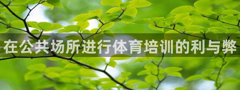 焦点娱乐不出款怎么回事：在公共场所进行体育培训的利与