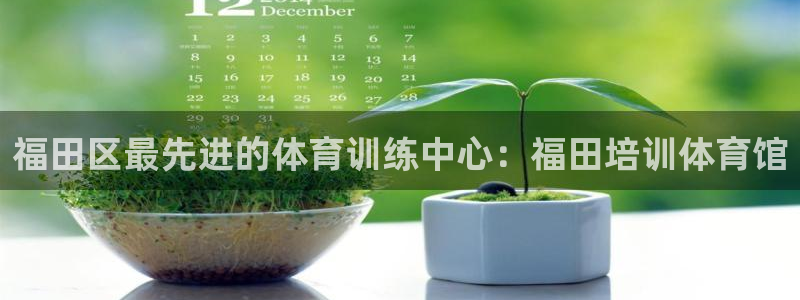 焦点娱乐拉菲11月11日