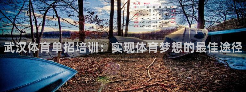 焦点娱乐官网下载安装手机版苹果：武汉体育单招培训：实